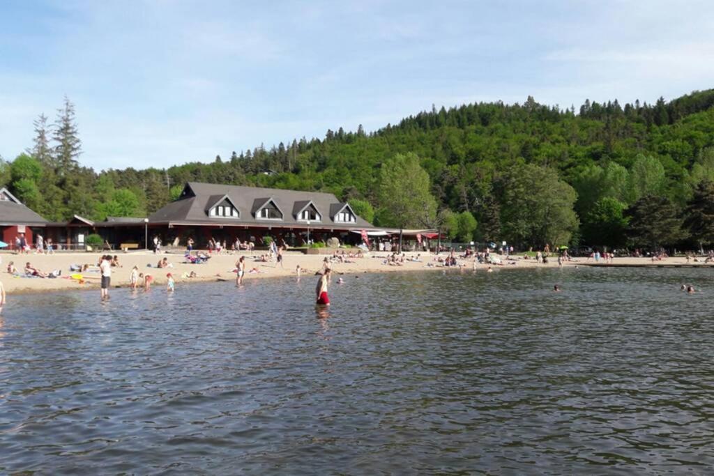 Cure Thermale Ou Vacances D'Ete Au Mont Dore ภายนอก รูปภาพ